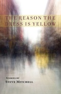 Cover: The Reason the Dress Is Yellow - Press 53