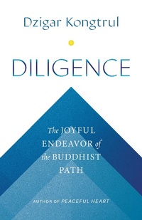 Abbildung von: Diligence - Shambhala
