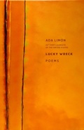 Cover: Lucky Wreck - Autumn House Press
