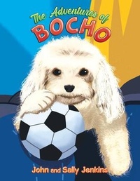 Abbildung von: The Adventures of Bocho - Leavitt Peak Press
