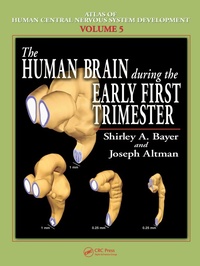 Abbildung von: The Human Brain During the Early First Trimester - CRC Press
