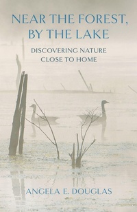 Enlarge image Cover: Near the Forest, by the Lake - Comstock Publishing Associates