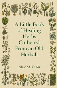 Abbildung von: A Little Book of Healing Herbs Gathered From an Old Herball - Lancour Press