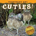 Cover: Burrowing Owl Cuties! - Farcountry Press