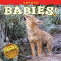 Cover: Coyote Babies! - Farcountry Press