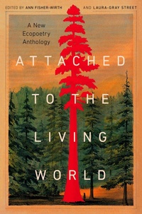 Abbildung von: Attached to the Living World - Trinity University Press