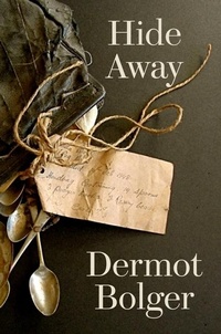 Enlarge image Cover: Hide Away - New Island Books