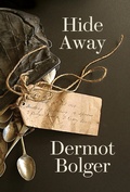 Cover: Hide Away - New Island Books