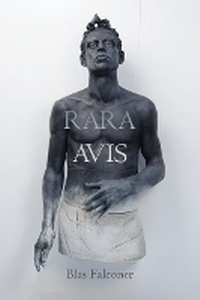 Enlarge image Cover: Rara Avis - Four Way Books