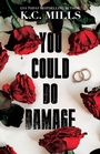 Cover: You Could Do Damage - Black Odyssey Media