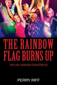 Abbildung von: The Rainbow Flag Burns Up - Outskirts Press