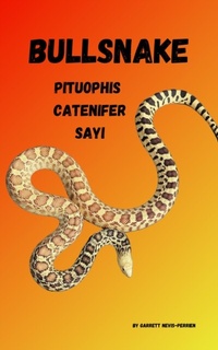 Abbildung von: Bullsnake Pituophis Catenifer Sayi - Garrett Nevis-Perrien