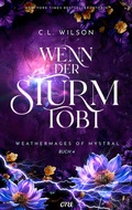 Cover: Wenn der Sturm tobt - ONE