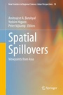Cover: Spatial Spillovers - Springer