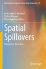 Cover: Spatial Spillovers - Springer