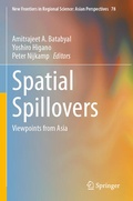 Cover: Spatial Spillovers - Springer