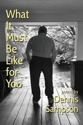 Cover: What It Must Be Like for You - Homestead Lighthouse Press