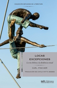 Enlarge image Cover: Locas excepciones - Ediciones Universidad Alberto Hurtado