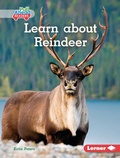 Cover: Learn about Reindeer - Lerner Publications Co ,U.S.