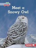 Cover: Meet a Snowy Owl - Lerner Publications Co ,U.S.