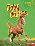 Cover: Baby Horses - Lerner Publications Co ,U.S.