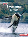 Cover: Swimming Orcas - Lerner Publications Co ,U.S.