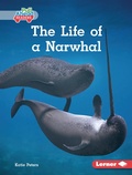 Cover: The Life of a Narwhal - Lerner Publications Co ,U.S.