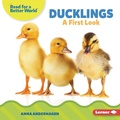 Cover: Ducklings - Lerner Publications Co ,U.S.