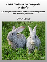 Abbildung von: Cómo Cuidar A Un Conejo De Mascota - Tektime