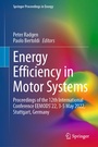 Cover: Energy Efficiency in Motor Systems - Springer