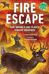 Enlarge image Cover: Fire Escape - Holiday House Inc
