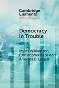 Cover: Democracy in Trouble - Cambridge University Press