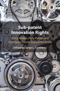 Enlarge image Cover: Sub-patent Innovation Rights - Cambridge University Press