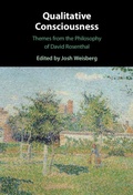 Cover: Qualitative Consciousness - Cambridge University Press