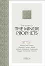 Cover: The Books of the Minor Prophets - BroadStreet Publishing