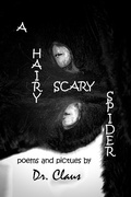 Cover: A Hairy Scary Spider - Dr. Claus