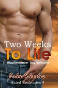 Cover: Two Weeks To Life (Fated Soulmates 4) - Manifest Vision Publishing