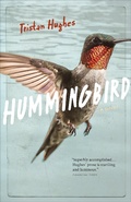 Cover: Hummingbird: A Novel - Leilah Nadir