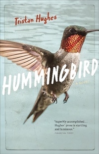 Enlarge image Cover: Hummingbird: A Novel - Leilah Nadir