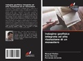 Cover: Indagine geofisica integrata ad alta risoluzione di un monastero - Edizioni Sapienza