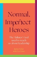 Cover: Normal, Imperfect Heroes - form