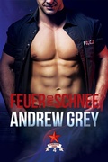 Cover: Feuer und Schnee - Dreamspinner Press