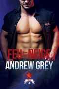 Cover: Feu et neige - Dreamspinner Press