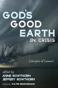 Abbildung von: God's Good Earth in Crisis - Wipf and Stock Publishers