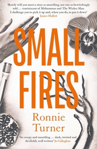 Enlarge image Cover: Small Fires - Orenda Books