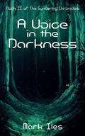 Cover: A Voice in the Darkness - Elsewhen Press