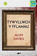Cover: Stori Sydyn: Tywyllwch y Fflamau - Y Lolfa