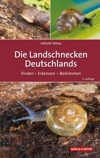 Abbildung von: Die Landschnecken Deutschlands - Quelle & Meyer
