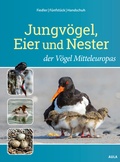 Cover: Jungv&ouml;gel, Eier und Nester der V&ouml;gel Mitteleuropas - AULA-Verlag