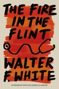 Cover: The Fire in the Flint - Union Square & Co.